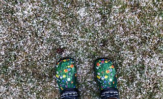Graupel- und Schneeschauer sind auch in Ostwestfalen-Lippe drin. - picture alliance/dpa/dpa-Zentralbild Graupel- und Schneeschauer sind auch in Ostwestfalen-Lippe drin. - picture alliance/dpa/dpa-Zentralbild