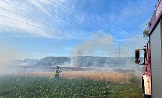 An den heißen Tagen brannte im Bereich Albaxen ein geerntetes Feld ab. - Feuerwehr Höxter An den heißen Tagen brannte im Bereich Albaxen ein geerntetes Feld ab. - Feuerwehr Höxter