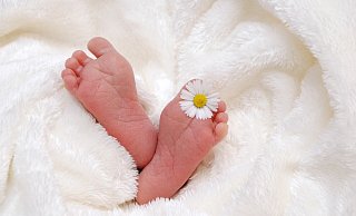 Das St. Ansgar Krankenhaus hat die Geburten der Woche bekanntgegeben. - Pixabay (Symbolfoto) Das St. Ansgar Krankenhaus hat die Geburten der Woche bekanntgegeben. - Pixabay (Symbolfoto)