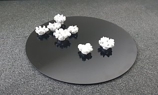 Die Rikus-Rosen sollen wie ein Seerosenteich auf dem Landesgartenschau-Gelände in Paderborn neu präsentiert werden. - Stadt Paderborn Die Rikus-Rosen sollen wie ein Seerosenteich auf dem Landesgartenschau-Gelände in Paderborn neu präsentiert werden. - Stadt Paderborn
