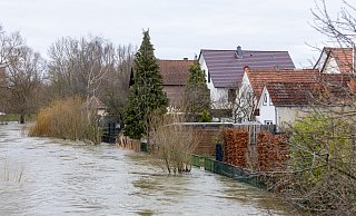 Das Hochwasser rückte vielen Häusern gefährlich nahe - oder drang sogar in die Gebäude ein. Noch stehen nicht alle Schäden fest. - Niklas Tüns Das Hochwasser rückte vielen Häusern gefährlich nahe - oder drang sogar in die Gebäude ein. Noch stehen nicht alle Schäden fest. - Niklas Tüns