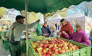 Am Stand der Beschicker vom Hof Kossack in Wulferdingsen gibt es alte Apfelsorten in jeder Geschmacksrichtung. - Elke Niedringhaus-Haasper Am Stand der Beschicker vom Hof Kossack in Wulferdingsen gibt es alte Apfelsorten in jeder Geschmacksrichtung. - Elke Niedringhaus-Haasper