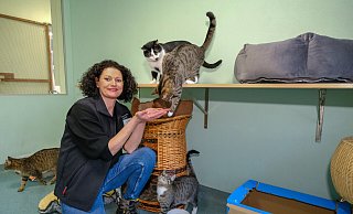 Tierheimchefin Anja Langer zu Besuch in der Katzen-WG. - Foto: Andreas Zobe/NW Tierheimchefin Anja Langer zu Besuch in der Katzen-WG. - Foto: Andreas Zobe/NW