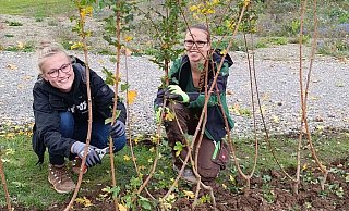 Die Studentinnen Lara Beckmann und Maren Haida pflanzen eine Flechthecke. - Landesgartenschau Höxter Die Studentinnen Lara Beckmann und Maren Haida pflanzen eine Flechthecke. - Landesgartenschau Höxter