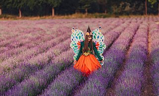 Auf zwei Hektar Fläche erfreute im vergangenen Jahr zur Landesgartenschau in Höxter der duftende Lavendel Auge und Nase – hier streift Gartenschau-Elfe Holli durch das lila Meer. - Huxarium Gartenpark Höxter/Claudia Warneke Auf zwei Hektar Fläche erfreute im vergangenen Jahr zur Landesgartenschau in Höxter der duftende Lavendel Auge und Nase – hier streift Gartenschau-Elfe Holli durch das lila Meer. - Huxarium Gartenpark Höxter/Claudia Warneke