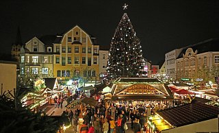 Der große Weihnachtsbaum auf dem Alten Markt war ein Highlight des Weihnachtslichts. - Frank-Michael Kiel-Steinkamp Der große Weihnachtsbaum auf dem Alten Markt war ein Highlight des Weihnachtslichts. - Frank-Michael Kiel-Steinkamp