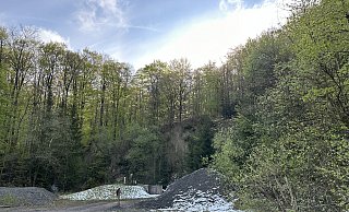 Der Kampf für oder gegen den Nationalpark in der Egge, hier bei Bad Driburg, nimmt im Internet teils groteske Züge an. - Ralf T. Mischer Der Kampf für oder gegen den Nationalpark in der Egge, hier bei Bad Driburg, nimmt im Internet teils groteske Züge an. - Ralf T. Mischer