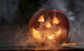 Nach Halloween stellt sich die Frage, wie der Kürbis richtig entsorgt wird. - Symbolfoto: Pixabay Nach Halloween stellt sich die Frage, wie der Kürbis richtig entsorgt wird. - Symbolfoto: Pixabay