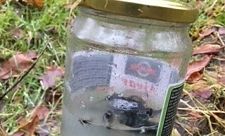 Dieses Glas steckt in einem der Stoffsäckchen. Ursprünglich war es mit Paprikapaste gefüllt. Was nun darin enthalten ist, lässt sich nur erahnen. Öffnen wollte es der Finder lieber nicht. - privat Dieses Glas steckt in einem der Stoffsäckchen. Ursprünglich war es mit Paprikapaste gefüllt. Was nun darin enthalten ist, lässt sich nur erahnen. Öffnen wollte es der Finder lieber nicht. - privat