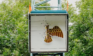 Vorbeischießen unmöglich: Die Paderborner Schützen zielen mit einem fest eingespannten Gewehr auf den Kugelfang. - Besim Mazhiqi Vorbeischießen unmöglich: Die Paderborner Schützen zielen mit einem fest eingespannten Gewehr auf den Kugelfang. - Besim Mazhiqi