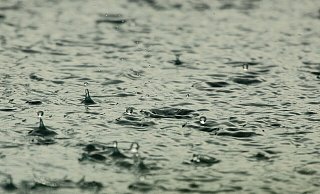 Amtliche Warnung vor schwerem Gewitter und heftigem Starkregen im Kreis Herford. - Pixabay (Symbolbild) Amtliche Warnung vor schwerem Gewitter und heftigem Starkregen im Kreis Herford. - Pixabay (Symbolbild)