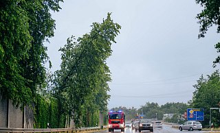 Während des Unwetters "Lambert" drohte ein Baum an der Autobahnzufahrt in Schloß Holte-Stukenbrock auf die Straße zu kippen. Die Feuerwehr sicherte den Bereich und fällte den Baum. - BESIM MAZHIQI Während des Unwetters "Lambert" drohte ein Baum an der Autobahnzufahrt in Schloß Holte-Stukenbrock auf die Straße zu kippen. Die Feuerwehr sicherte den Bereich und fällte den Baum. - BESIM MAZHIQI