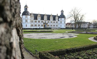 Der aktuelle Zustand des Barockgartens in Schloß Neuhaus sorgt für Unmut. (Archivbild) - Anna-Lena Hinder Der aktuelle Zustand des Barockgartens in Schloß Neuhaus sorgt für Unmut. (Archivbild) - Anna-Lena Hinder