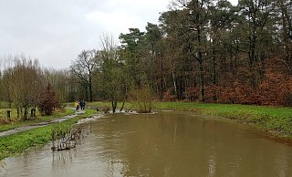 Die Große Aue, eigentlich ein kleines Flüsschen, macht ihrem Namen alle Ehre. Groß und breit drängt sie aktuell aus ihrem Flussbett in Espelkamp. - Heike von Schulz Die Große Aue, eigentlich ein kleines Flüsschen, macht ihrem Namen alle Ehre. Groß und breit drängt sie aktuell aus ihrem Flussbett in Espelkamp. - Heike von Schulz