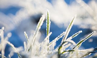 Die Temperaturen am Wochenende bleiben meist unter dem Gefrierpunkt und sorgen für Frost. - Marcel Kusch Die Temperaturen am Wochenende bleiben meist unter dem Gefrierpunkt und sorgen für Frost. - Marcel Kusch