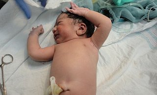 Wenn ein Baby geboren wird, kommen neben allem Glück für junge Familien auch oft Unsicherheiten und viele Fragen auf. Dafür sind die Babylotsen Ansprechpartner. - Pixabay Wenn ein Baby geboren wird, kommen neben allem Glück für junge Familien auch oft Unsicherheiten und viele Fragen auf. Dafür sind die Babylotsen Ansprechpartner. - Pixabay