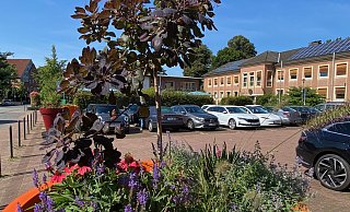 Für die Dauer des Verkehrsversuchs in der Innenstadt bleiben die meisten Blumenkübel dort, wo sie stehen. - Burkhard Hoeltzenbein Für die Dauer des Verkehrsversuchs in der Innenstadt bleiben die meisten Blumenkübel dort, wo sie stehen. - Burkhard Hoeltzenbein