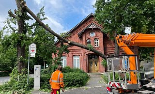 In Gütersloh sorgte der Sturm vor allem für abgeknickte Bäume (wie hier an der Moltkestraße) - woanders musste die Feuerwehr wegen vollgelaufener Keller ausrücken. - Wolfgang Temme In Gütersloh sorgte der Sturm vor allem für abgeknickte Bäume (wie hier an der Moltkestraße) - woanders musste die Feuerwehr wegen vollgelaufener Keller ausrücken. - Wolfgang Temme