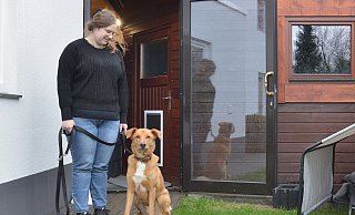 Sie sind es füreinander: Mayo mit seinem neuen Frauchen. - Philipp Kruse / Tierheim Bielefeld Sie sind es füreinander: Mayo mit seinem neuen Frauchen. - Philipp Kruse / Tierheim Bielefeld