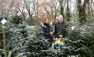 Annika und Till Moerkerk haben in diesen Tagen alle Hände voll zu tun mit der Organisation des Weihnachtsbaumverkaufs auf Siekmanns Hof. Wim und Floris sind gern dabei. - Frank-Michael Kiel-Steinkamp Annika und Till Moerkerk haben in diesen Tagen alle Hände voll zu tun mit der Organisation des Weihnachtsbaumverkaufs auf Siekmanns Hof. Wim und Floris sind gern dabei. - Frank-Michael Kiel-Steinkamp