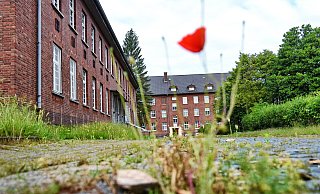 Schon ab Sommer kehrt wieder neues Leben ein in die Rochdale-Kaserne an der Oldentruper Straße. Allerdings in ganz ungewohnter Art und Weise. - Barbara Franke Schon ab Sommer kehrt wieder neues Leben ein in die Rochdale-Kaserne an der Oldentruper Straße. Allerdings in ganz ungewohnter Art und Weise. - Barbara Franke