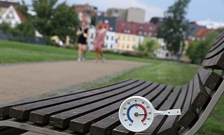 Im Paderquellgebiet ist es zwischen 32 und 33 Grad heiß, das Fehlen der vom Tornado zerstörten Bäume ist deutlich spürbar. - Holger Kosbab Im Paderquellgebiet ist es zwischen 32 und 33 Grad heiß, das Fehlen der vom Tornado zerstörten Bäume ist deutlich spürbar. - Holger Kosbab