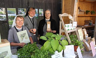 Zum ersten Mal sind die Franziskanerinnern Schwester Petre Kappius (Mitte), Schwester Birgit Bek (l.) und Schwester Brigitta Harsch in Dalheim dabei. Sie sind extra aus Reute angereist. - Johannes Büttner Zum ersten Mal sind die Franziskanerinnern Schwester Petre Kappius (Mitte), Schwester Birgit Bek (l.) und Schwester Brigitta Harsch in Dalheim dabei. Sie sind extra aus Reute angereist. - Johannes Büttner