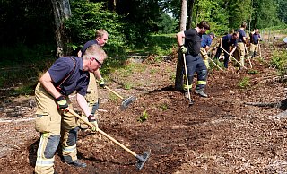 Mit den unterschiedlichen Werkzeugen wird der Waldboden von brennbarem Material befreit. Das ist für die Feuerwehrleute ziemlich anstrengend, aber der Aufwand lohnt sich. - Ralph Meyer Mit den unterschiedlichen Werkzeugen wird der Waldboden von brennbarem Material befreit. Das ist für die Feuerwehrleute ziemlich anstrengend, aber der Aufwand lohnt sich. - Ralph Meyer