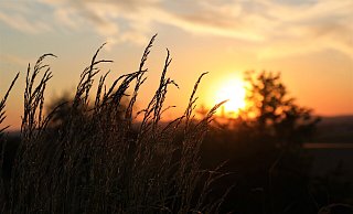 174,3 Stunden Sonnenschein registrierte die Wetterstation in Drenke. - Simone Flörke 174,3 Stunden Sonnenschein registrierte die Wetterstation in Drenke. - Simone Flörke