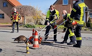 Feuerwehrleute aus Herford fangen im Jahr 2021 einen Waschbären ein. - Feuerwehr Herford Feuerwehrleute aus Herford fangen im Jahr 2021 einen Waschbären ein. - Feuerwehr Herford