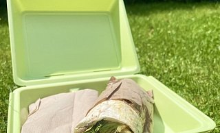 Bei Take-away-Speisen rät die Verbraucherzentrale zu Mehrwegbehältern. Aber akzeptieren das die Paderborner Gastronomen? - Katharina Hink Bei Take-away-Speisen rät die Verbraucherzentrale zu Mehrwegbehältern. Aber akzeptieren das die Paderborner Gastronomen? - Katharina Hink