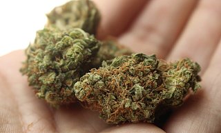 Marihuana mit einem Straßenverkaufswert von mehreren Tausend Euro wurde in einer Wohnung entdeckt. - Symbolbild: Pixabay Marihuana mit einem Straßenverkaufswert von mehreren Tausend Euro wurde in einer Wohnung entdeckt. - Symbolbild: Pixabay