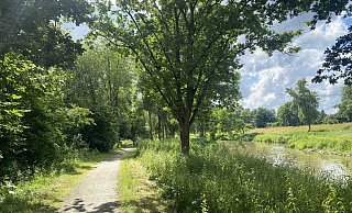 Die Wege im Werreauenpark müssen erneuert werden. - Dirk Windmöller Die Wege im Werreauenpark müssen erneuert werden. - Dirk Windmöller