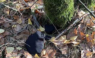 Solche Säckchen finden Spaziergänger in den Wäldern südlich von Stukenbrock-Senne und bei Hövelhof. Sie sind etwa faustgroß und in den meisten Fällen zugeknotet. - privat Solche Säckchen finden Spaziergänger in den Wäldern südlich von Stukenbrock-Senne und bei Hövelhof. Sie sind etwa faustgroß und in den meisten Fällen zugeknotet. - privat