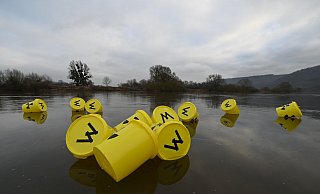 Symbolisch ließ die BI „Lebenswertes Bördeland und Diemeltal“ „Atomüllfässer“ auf der Weser treiben. Sie sehen in Wirklichkeit aber ganz anders aus. Foto: Thomas Kube - Thomas Kube Symbolisch ließ die BI „Lebenswertes Bördeland und Diemeltal“ „Atomüllfässer“ auf der Weser treiben. Sie sehen in Wirklichkeit aber ganz anders aus. Foto: Thomas Kube - Thomas Kube