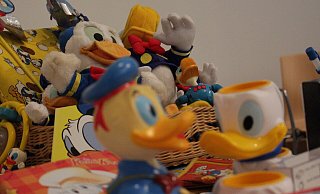 Donald Duck, so weit das Auge reicht. Neben aller Wissenschaft dürften beim Donaldisten-Kongress die Basics nicht fehlen: Comic-Hefte und Donald-Fanartikel. - Phyllis Frieling Donald Duck, so weit das Auge reicht. Neben aller Wissenschaft dürften beim Donaldisten-Kongress die Basics nicht fehlen: Comic-Hefte und Donald-Fanartikel. - Phyllis Frieling