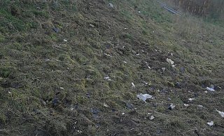 Bei dem Lkw-Unfall haben sich Plastiksplitter über den gesamten Abhang bis herunter zum Haubach verteilt. - Ulf Hanke Bei dem Lkw-Unfall haben sich Plastiksplitter über den gesamten Abhang bis herunter zum Haubach verteilt. - Ulf Hanke