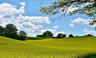 In NRW werden angenehme Temperaturen erreicht - auch am Feiertag. - Pixabay (Symbolbild) In NRW werden angenehme Temperaturen erreicht - auch am Feiertag. - Pixabay (Symbolbild)