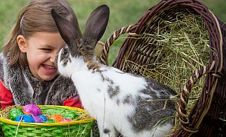 Symbolbild: In Ermangelung eines Osterhasen muss ein Kaninchen die Hasenrolle auf dem Osterfoto übernehmen und an dem Kind schnuppern. - Patrick Pleul Symbolbild: In Ermangelung eines Osterhasen muss ein Kaninchen die Hasenrolle auf dem Osterfoto übernehmen und an dem Kind schnuppern. - Patrick Pleul