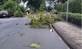 An der Grünen Mühle bei Höxter blockiert ein Baum die Fahrbahn. - Feuerwehr Höxter An der Grünen Mühle bei Höxter blockiert ein Baum die Fahrbahn. - Feuerwehr Höxter
