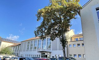 Seit Jahren sind der Sanierungsbedarf und der Platzmangel der Geschwister-Scholl-Realschule an der Wiesestraße Thema. - Natalie Gottwald Seit Jahren sind der Sanierungsbedarf und der Platzmangel der Geschwister-Scholl-Realschule an der Wiesestraße Thema. - Natalie Gottwald