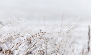 Ab Freitag sollen die ersten Schneeflocken in diesem Herbst fallen. Doch bleibt der Schnee auch liegen? - dpa Ab Freitag sollen die ersten Schneeflocken in diesem Herbst fallen. Doch bleibt der Schnee auch liegen? - dpa