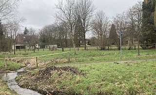 Die Wiese hinter dem Zaun will der Eigentümer gerne bebauen. - Corina Lass Die Wiese hinter dem Zaun will der Eigentümer gerne bebauen. - Corina Lass