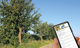 An Wirtschaftswegen finden sich zahlreiche Obstbäume. Per Smartphone können über QR-Codes an Schildern an verschiedenen Stellen Informationen abgerufen werden. - Stadt Büren An Wirtschaftswegen finden sich zahlreiche Obstbäume. Per Smartphone können über QR-Codes an Schildern an verschiedenen Stellen Informationen abgerufen werden. - Stadt Büren