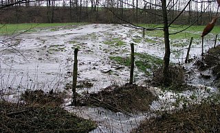 Das Foto zeigt Hochwasser an der Windwehe im Jahr 2005. - Ewald Thies/NABU Leopoldshöhe Das Foto zeigt Hochwasser an der Windwehe im Jahr 2005. - Ewald Thies/NABU Leopoldshöhe
