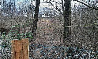 In diesem Waldstück vermutete ein selbst ernannter "Seher" die Leiche von Ulrich R. - Madita Schellenberg In diesem Waldstück vermutete ein selbst ernannter "Seher" die Leiche von Ulrich R. - Madita Schellenberg