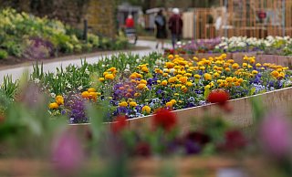 Blühende Landschaften: Die Landesgartenschau hat Gewinn eingefahren. Nun gilt es, das Gelände mit Augenmaß weiterzuentwickeln. - Friso Gentsch Blühende Landschaften: Die Landesgartenschau hat Gewinn eingefahren. Nun gilt es, das Gelände mit Augenmaß weiterzuentwickeln. - Friso Gentsch