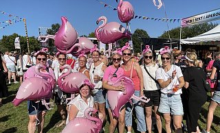 Als Flamingos hatte sich die Mädelsgruppe aus Bentfeld beziehungsweise Anreppen verkleidet. - Carola Drabon Als Flamingos hatte sich die Mädelsgruppe aus Bentfeld beziehungsweise Anreppen verkleidet. - Carola Drabon