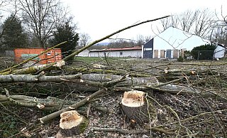 Nach dem Kahlschlag ist jetzt freie Sicht auf die Brandruine des Schützenhauses. - Thomas Kube Nach dem Kahlschlag ist jetzt freie Sicht auf die Brandruine des Schützenhauses. - Thomas Kube