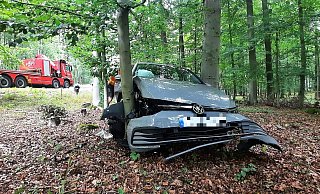 Der Golf des Brakelers blieb zwischen drei Bäumen stecken. - David Schellenberg Der Golf des Brakelers blieb zwischen drei Bäumen stecken. - David Schellenberg